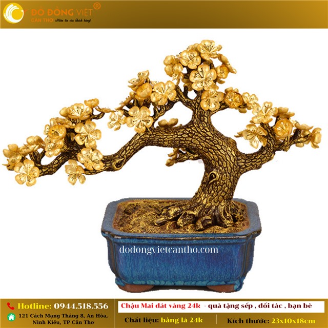 CHẬU CÂY MAI VÀNG 24K - BIỂU TƯỢNG CỦA SỰ TRƯỜNG THỌ, SINH SÔI NẢY NỞ