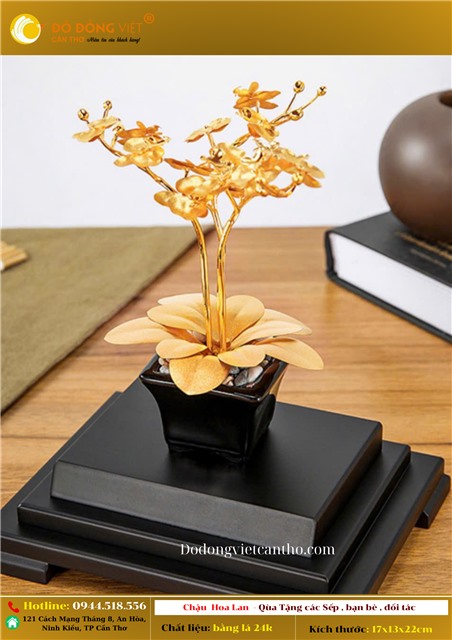 ĐIỀU ĐẶC BIỆT CỦA CHẬU HOA LAN VÀNG 24K TẠI ĐỒ ĐỒNG VIỆT CẦN THƠ