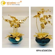 CHẬU HOA LAN DÁT VÀNG – KIỆT TÁC PHONG THỦY MANG ĐẾN VẺ ĐẸP SANG TRỌNG TINH TẾ